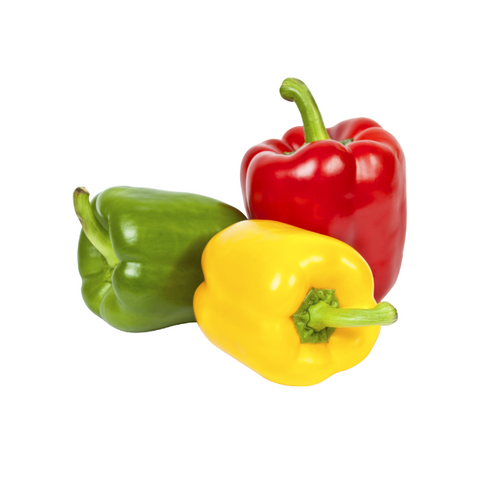 Capcicum