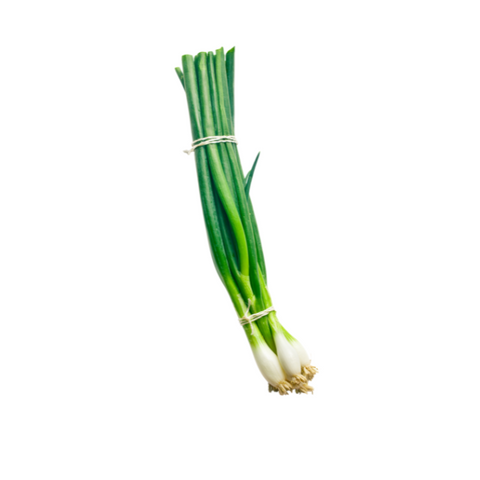 Spring onion